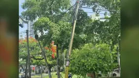 En Naco denuncian peligro por postes a punto de caer y cúmulo de basura