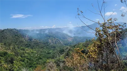 Incendios forestales podrían estar siendo provocados de manera intencional, según Medio Ambiente