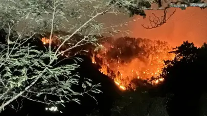 Incendio forestal afecta La Sierra de Jánico por más de cinco días sin respuesta de Medio Ambiente, aseguran moradores