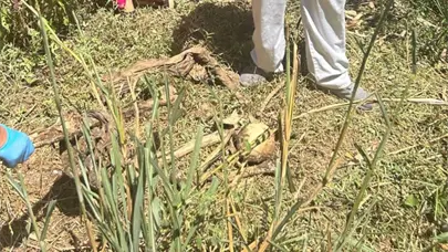 PN investiga hallazgo de osamenta humana en Cutupú, La Vega