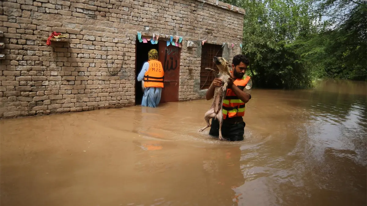 Atrapados entre el diluvio y el miedo, un pueblo fronterizo de Pakistán se niega a evacuar