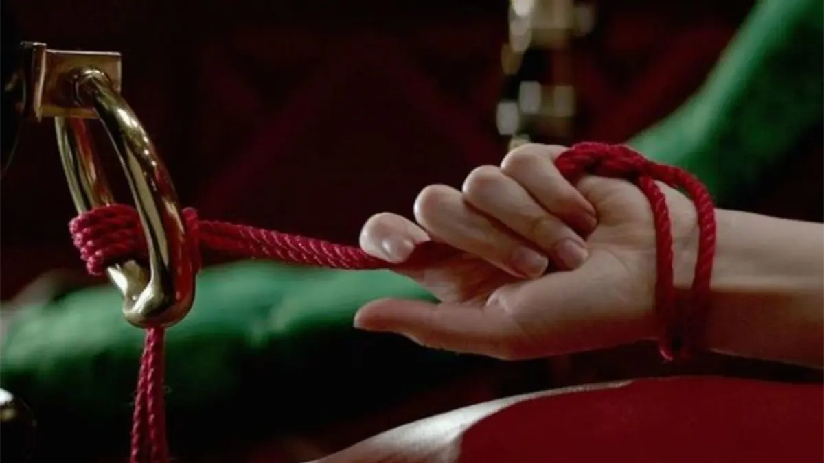 El TEDH condena a Francia por apreciar el consentimiento en una relación sadomasoquista