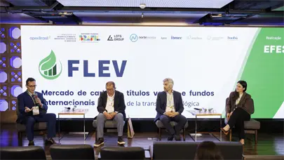 Expertos alertan sobre el riesgo de que el mercado de carbono se desvirtúe