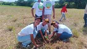 COOPSEMA impulsa jornada de reforestación en La Cuchilla, El Seibo