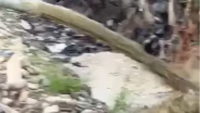 Vertedero de Duquesa aumenta la contaminaci&oacute;n del r&iacute;o Isabela