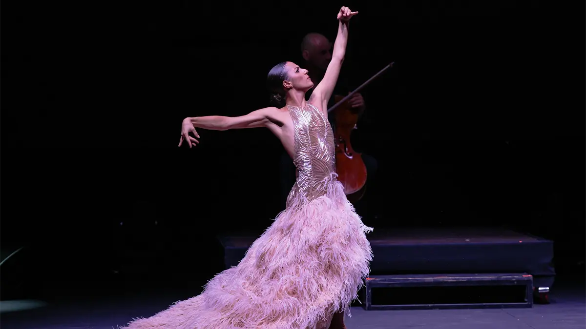 Gala Benéfica de Estrellas