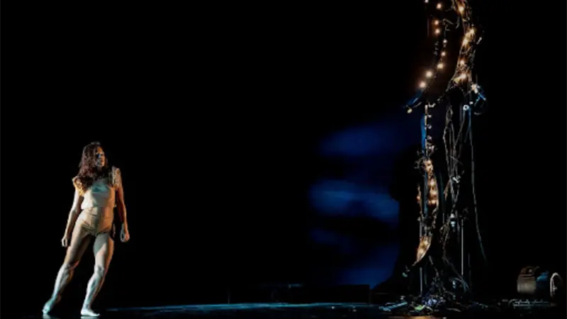 Coreógrafa brasileña Mari Paula abre festival en España con un moderno Lago de los cisnes