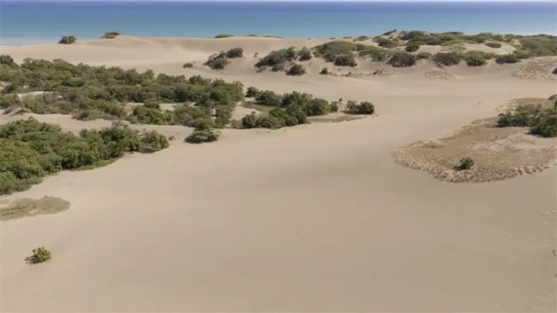 Academia de Ciencias rechaza propuesta de reducción de los límites del Monumento Natural Dunas