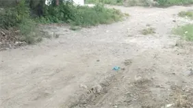 Vecinos de El Progreso denuncian calles en mal estado y exigen intervención municipal