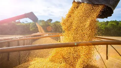 Brasil recogerá este año una cosecha récord de 341,2 millones de toneladas de granos