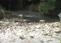 Grave acumulación de basura en la carretera Isabela, en Arroyo Manzano, alarma a residentes