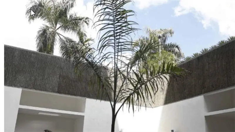 Jurados de la 31 Bienal Nacional de Artes Visuales defienden validez del premio a la obra "Lo que no se saca de raíz, vuelve a crecer"