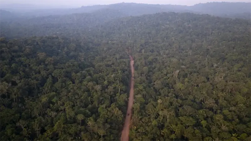 Brasil lanza sistema para medir diariamente la deforestación en la Amazonía