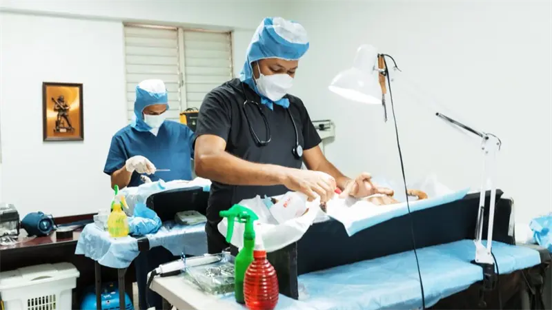 Más de 3,000 perros y gatos esterilizados por alcaldía del DN