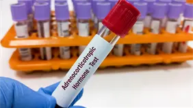 Regulación hormonal: una evaluación clínica más allá de los análisis