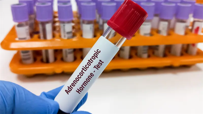 Regulación hormonal: una evaluación clínica más allá de los análisis