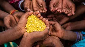 Casi 42 millones de personas en crisis alimentaria en África oriental, advierte un informe