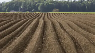 El calentamiento global acelerará las emisiones de CO2 de los suelos tropicales
