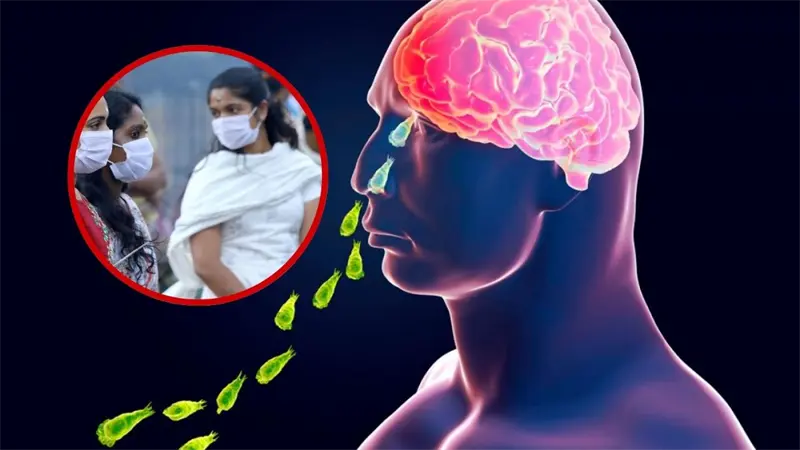India declara alerta sanitaria tras 19 muertes por la ameba "comecerebros"