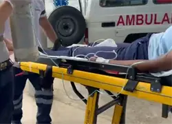Estudiantes intoxicados por pesticidas en escuela de SFM