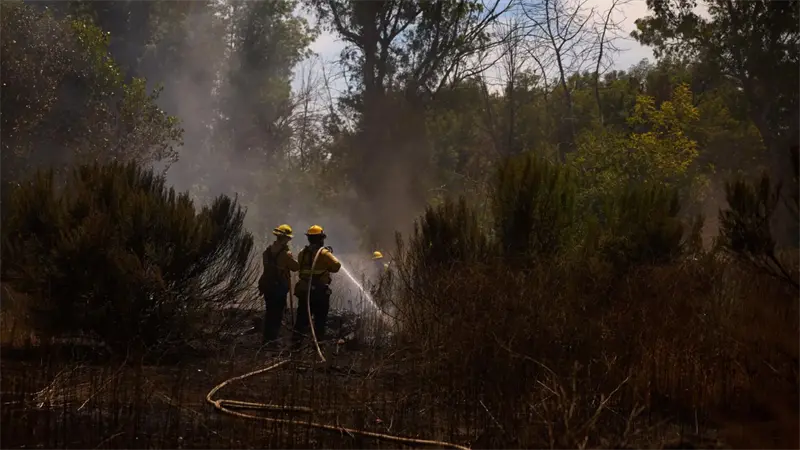 Estudio de Stanford proyecta más muertes para 2050 por exposición al humo en EE.UU.