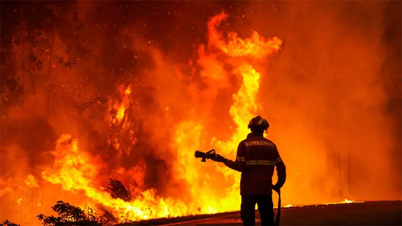 Unos 350 bomberos y 7 medios aéreos luchan contra gran incendio en Portugal