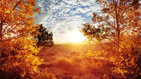 Hoy inicia el otoño: temperaturas más frescas, días cortos y noches más largas