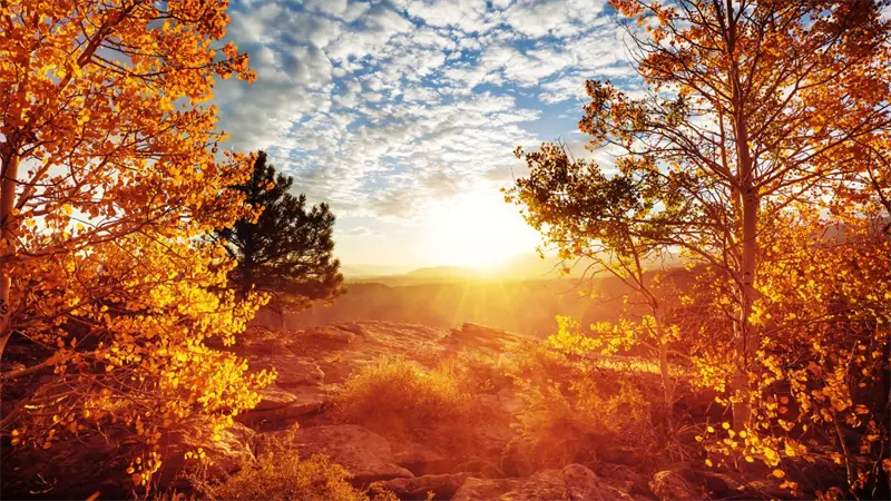 Hoy inicia el otoño: temperaturas más frescas, días cortos y noches más largas