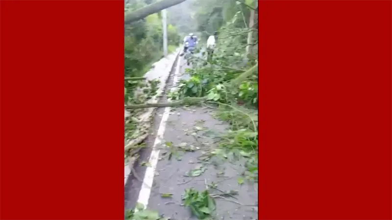 A tres días de inaugurada, carretera hacia Aguas Blancas en Constanza sufre derrumbes
