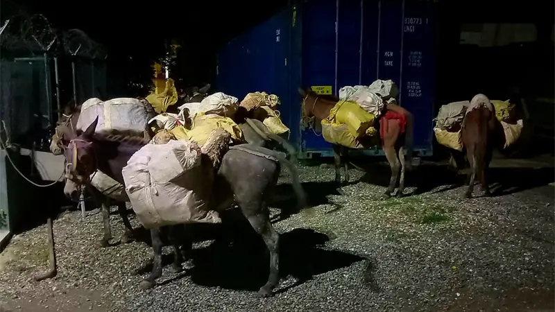 Ejército ocupa contrabando de 6,000 unidades de ron en operativo en Elías Piña