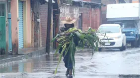 La tormenta tropical Narda avanza paralela a Pacífico mexicano y ocasiona fuertes lluvias