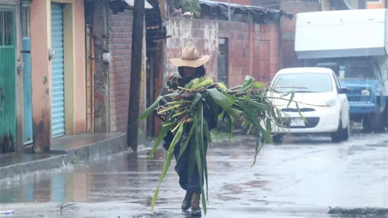 La tormenta tropical Narda avanza paralela a Pacífico mexicano y ocasiona fuertes lluvias