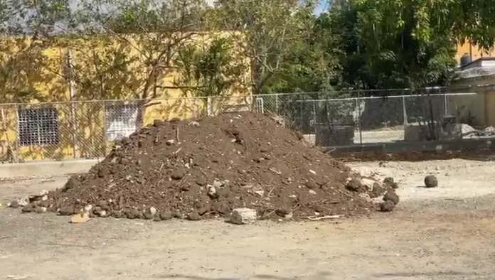 ADP paraliza docencia por 24 horas en SFM; denuncian precaria situación de escuelas