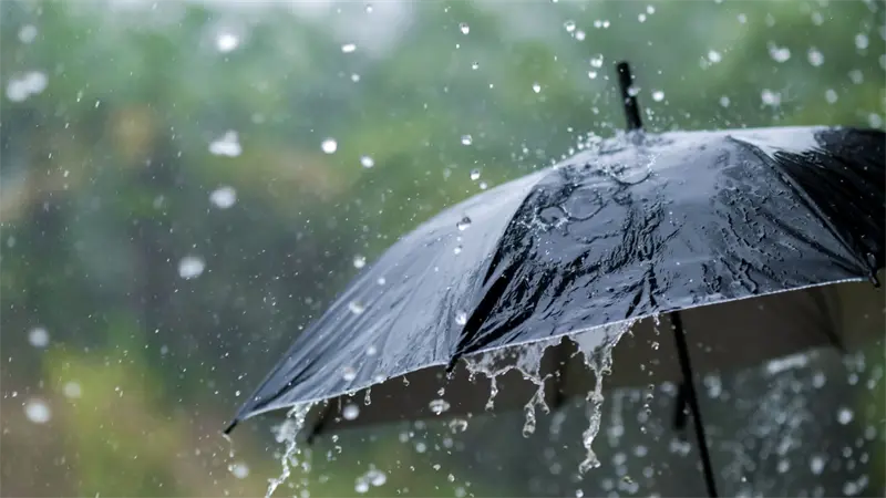 Lluvias devastadoras: miles desplazados