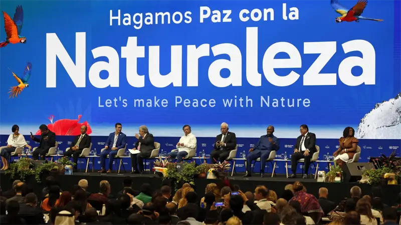 ONU alerta del retraso en el cumplimiento de los objetivos globales de biodiversidad