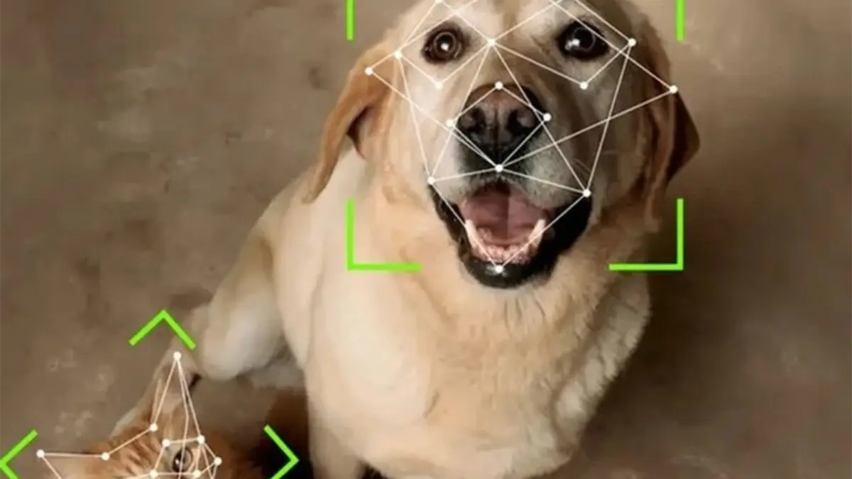 Amazon usará IA y reconocimiento facial en Ring para identificar visitas y buscar mascotas