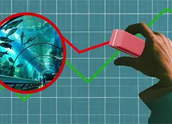 Cámara de Cuentas revela irregularidades por más de RD$30 millones en el Acuario Nacional (2012-2015)