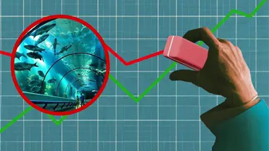 Cámara de Cuentas revela irregularidades por más de RD$30 millones en el Acuario Nacional (2012-2015)