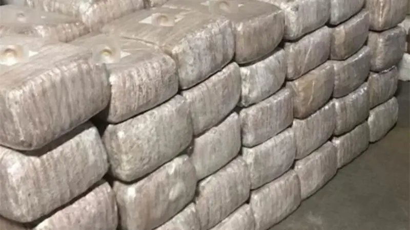 Incautan 510 kilos de droga en una lancha cercana a una isla reserva natural de Panamá