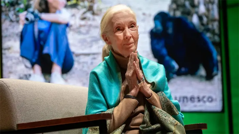 La ONU lamenta la muerte de Jane Goodall y aplaude su trabajo incansable por el planeta