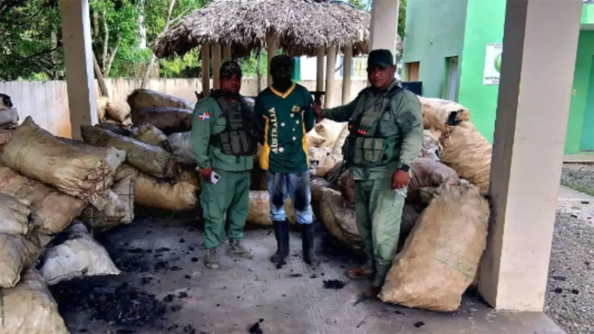 SENPA interviene cargamento ilegal de carbón vegetal en comunidad Mata Gallo