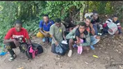 Ejército detiene a ocho nacionales haitianos que se escondían en un platanal en Valverde