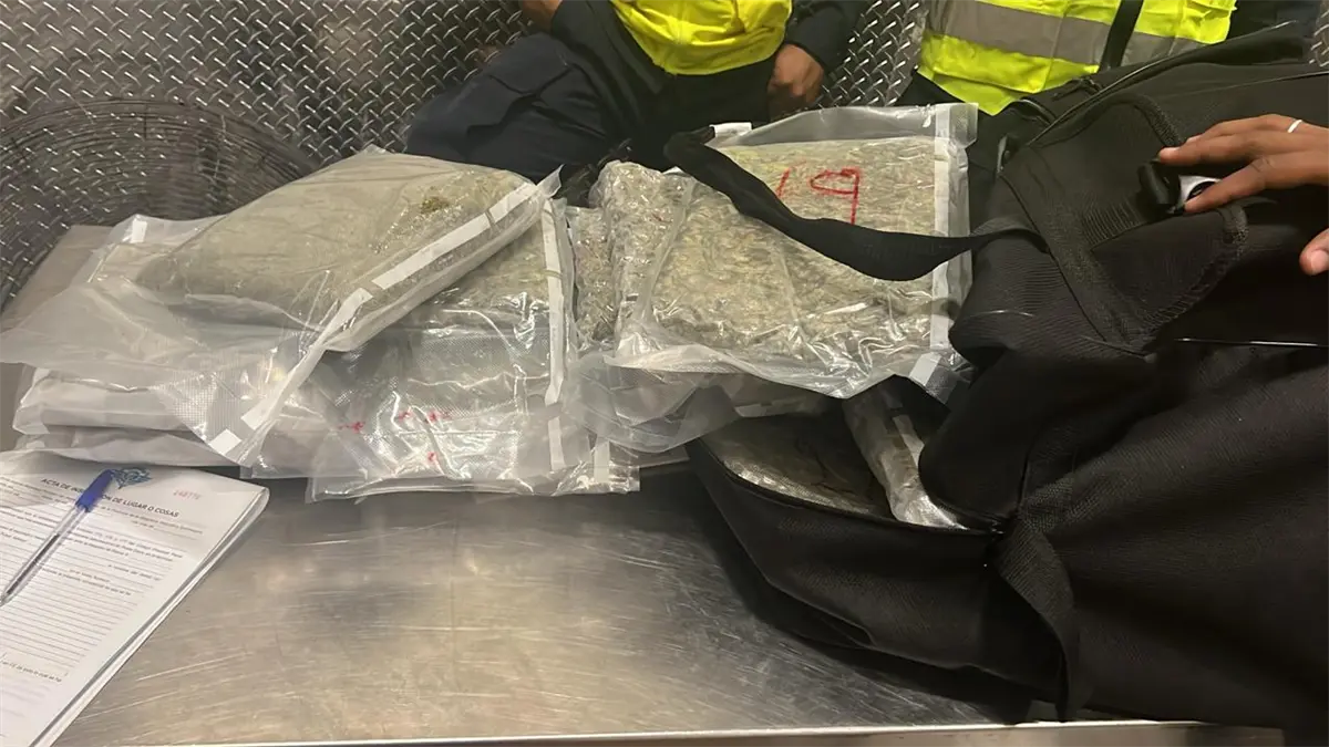 DNCD incauta 42 paquetes de presunta marihuana en aeropuerto de Punta Cana
