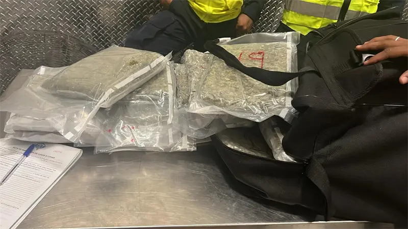 DNCD incauta 42 paquetes de presunta marihuana en aeropuerto de Punta Cana