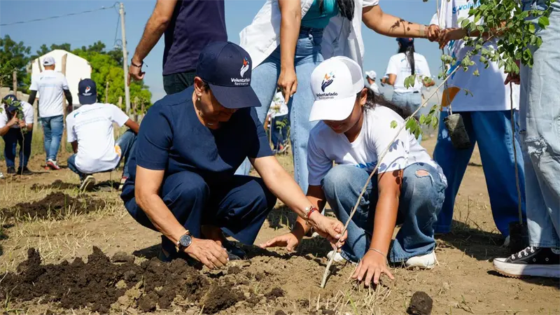Voluntariado Banreservas siembra 1,500 caobas criollas en Navarrete durante el Mes de la Reforestación
