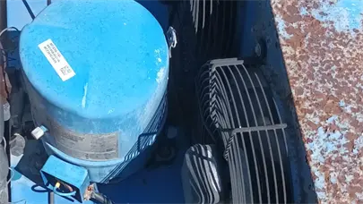 Pgase y Edeeste desmantelan numerosas conexiones irregulares en diversos comercios de SDE