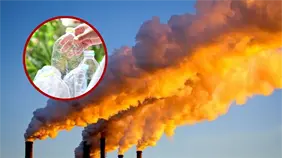 Un sistema captura CO2 y lo convierte en material para hacer plástico biodegradable