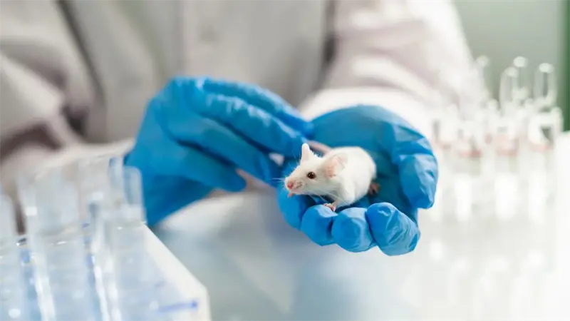 Científicos revierten el alzhéimer en ratones mediante nanopartículas