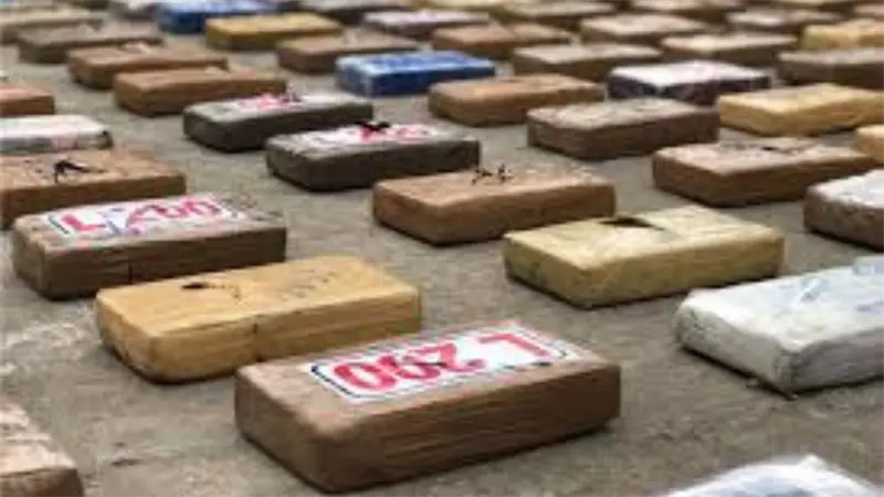 Decomisan en Colombia casi dos toneladas de cocaína que tenían como destino España
