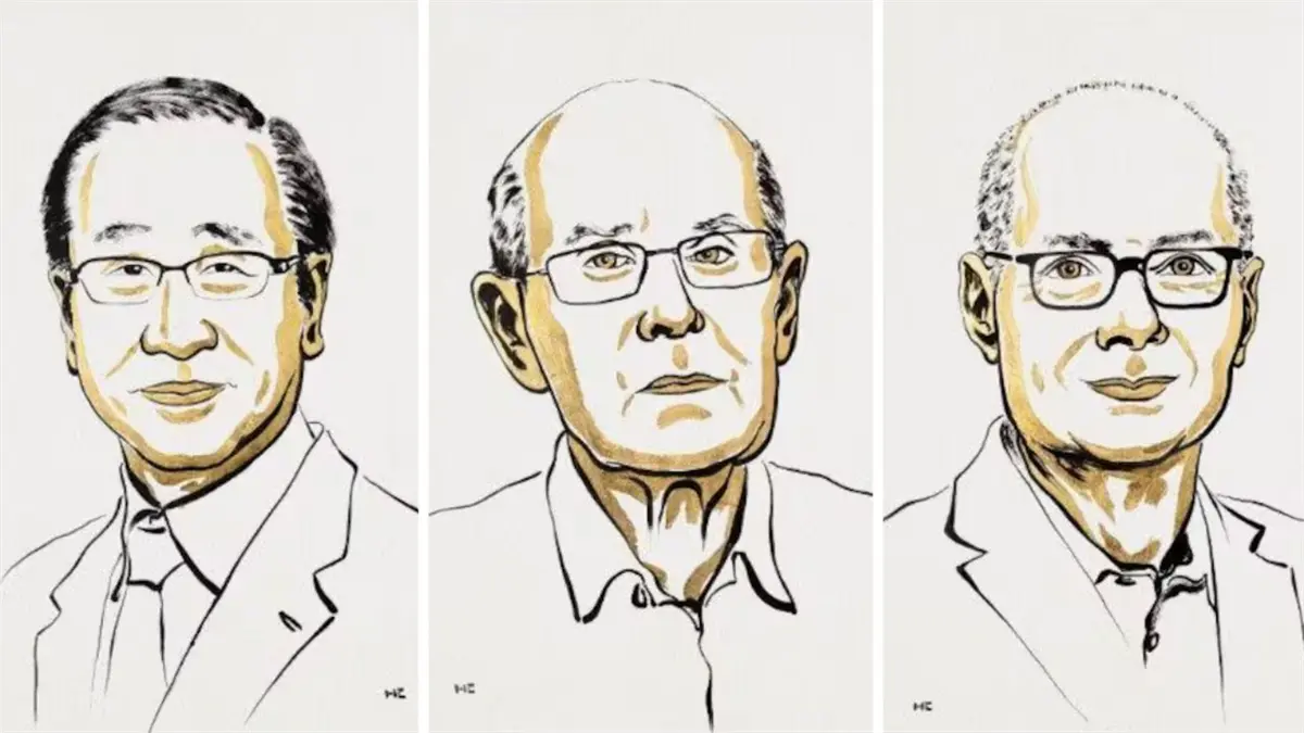 Nobel de Química es para tres científicos por el desarrollo de estructuras metal-orgánicas